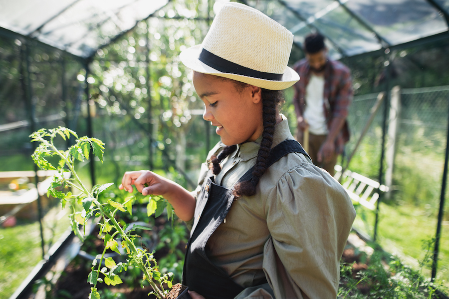 L’association Ressources permet de cultiver un jardin autonome 
