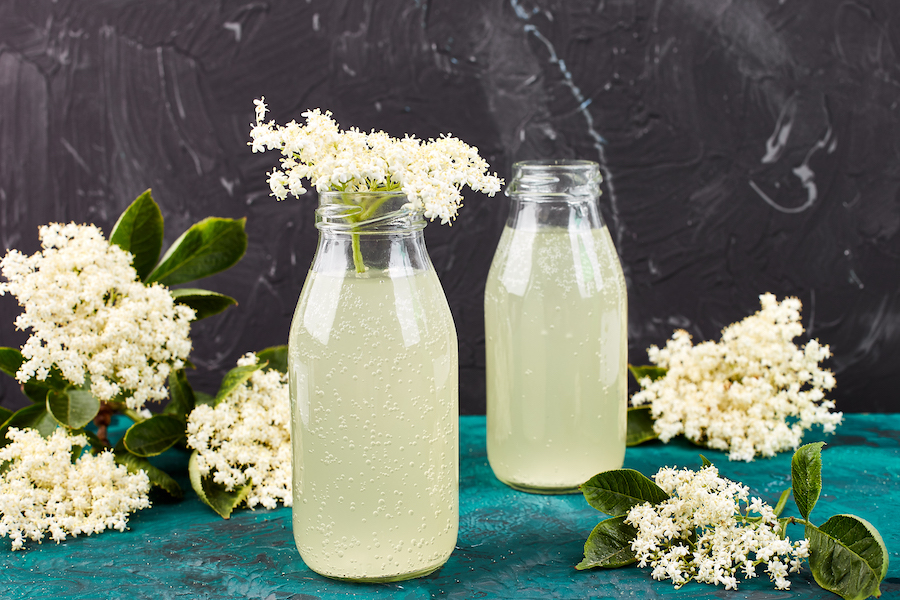 Présenter des fleurs comestibles dans notre assiette
