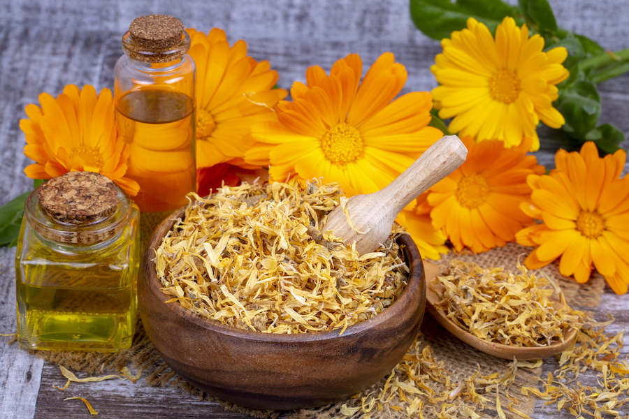 Présenter des fleurs comestibles dans notre assiette
