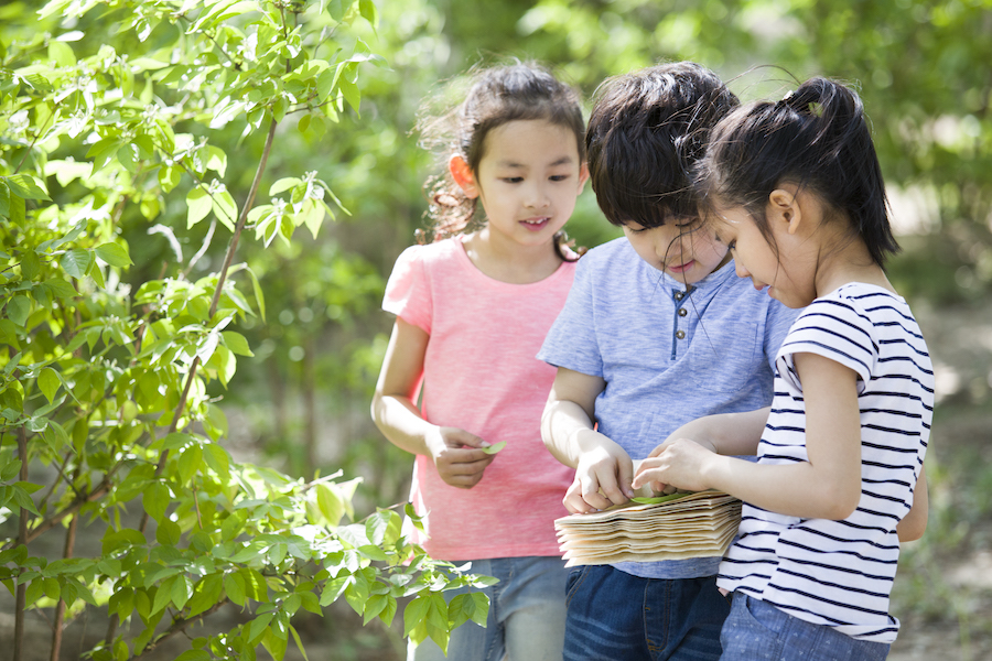 Apprendre aux enfants à s’intéresser aux bonnes manières
