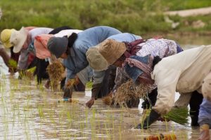 Le canal Funan Techo, financé par la Chine, va remodeler le Cambodge malgré les préoccupations environnementales