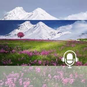 briser-cycle-karmique-pour-avenir-meilleur PODCAST