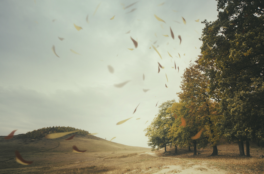 Signes divins et destin humain : explorer le lien entre la nature et la justice
