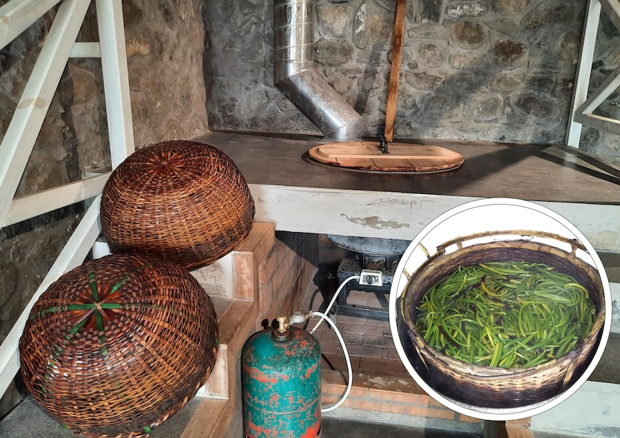 L’île de la Réunion : cultiver la patience avec la traditionnelle vanille Bourbon
