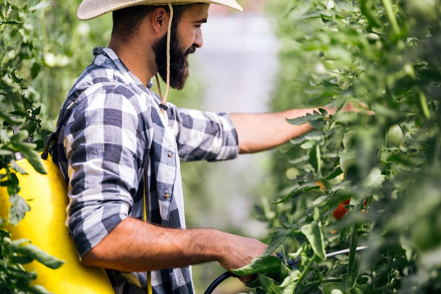 Réduire les résidus chimiques sur les fruits et légumes : astuces et solutions naturelles 
