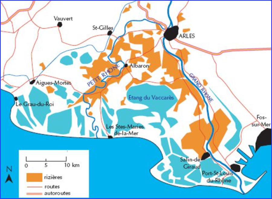 Comment le riz de Camargue a généré un écosystème exceptionnel entre Rhône et Méditerranée
