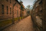 27 janvier 1945 : découverte du camp d’Auschwitz, mais maintenant 