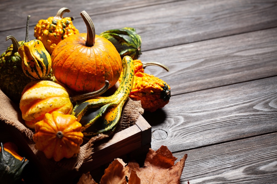 Les bienfaits de la consommation de citrouilles, une variété de courges