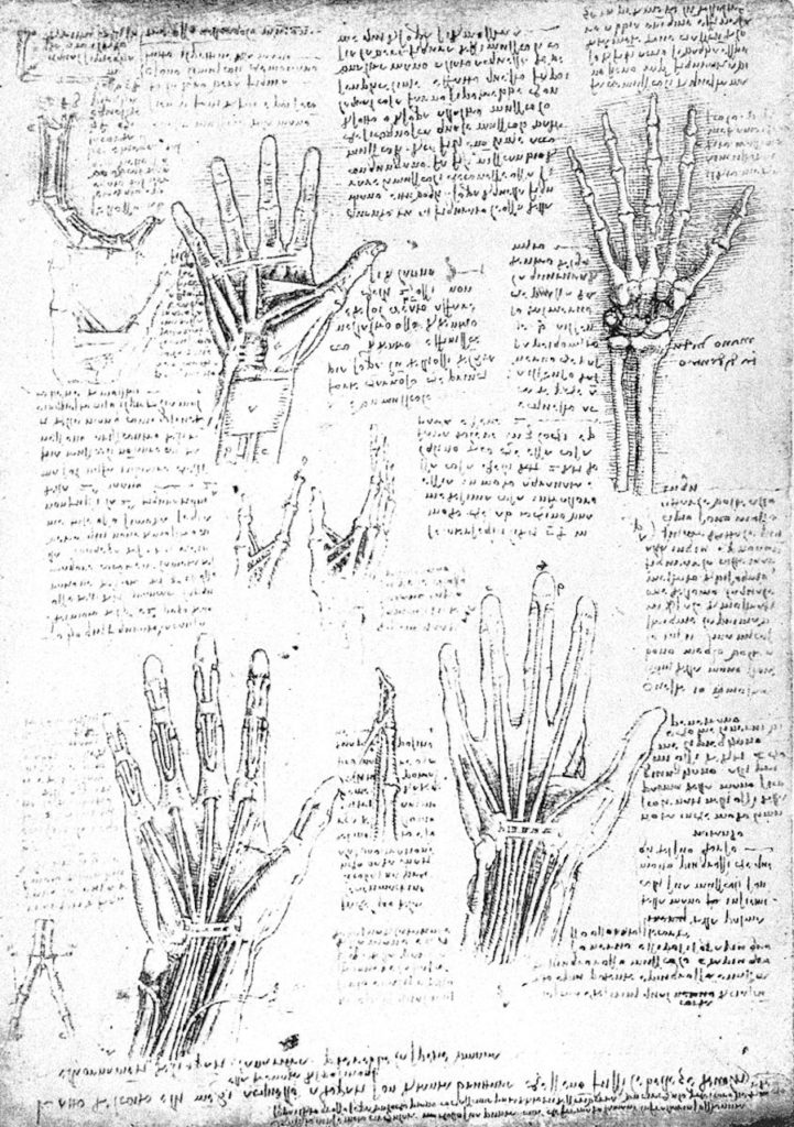 Cinq leçons de créativité que l’on peut retenir de l’héritage de Léonard de Vinci
