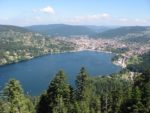 Je vois la vie en Vosges, Épinal, la Belle Image : les marques territoriales revitalisent-elles les départements