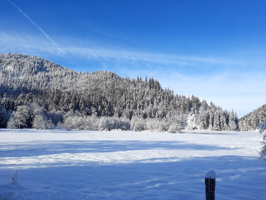 Je vois la vie en Vosges, Épinal, la Belle Image  : les marques territoriales revitalisent-elles les départements